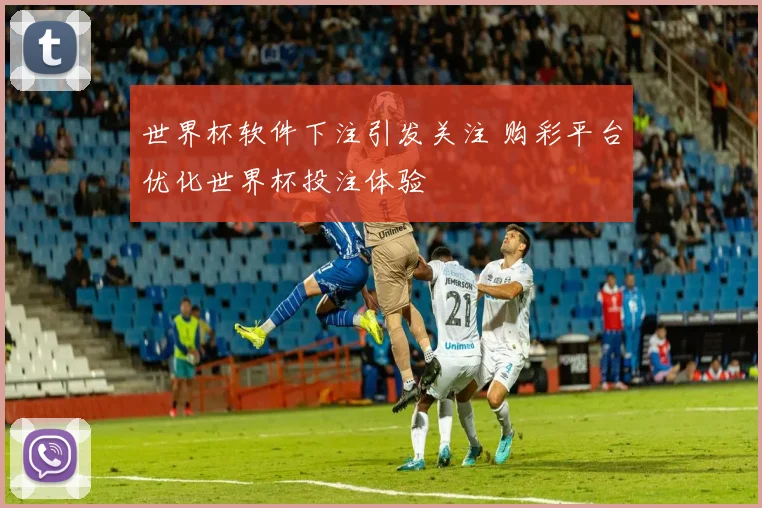 世界杯软件下注引发关注 购彩平台优化世界杯投注体验