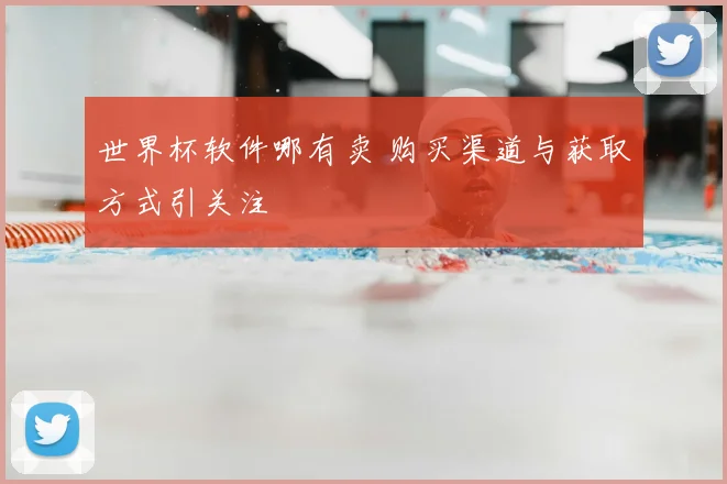 世界杯软件哪有卖 购买渠道与获取方式引关注