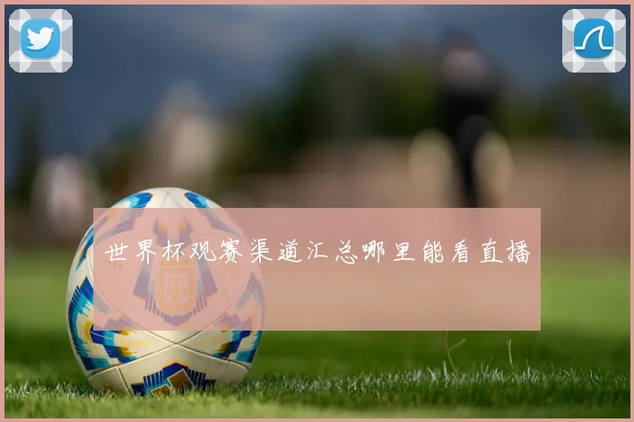 世界杯观赛渠道汇总哪里能看直播
